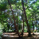 200909241235000.jpg